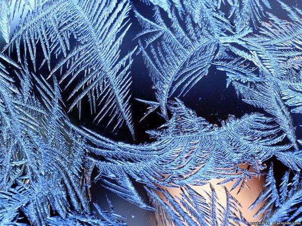 Людмила Долгирева