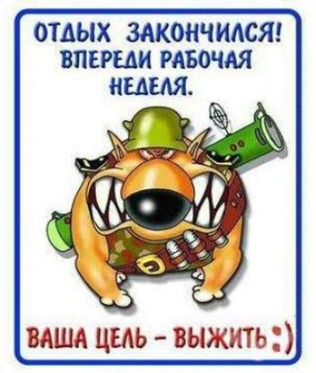 Андрей Андрей