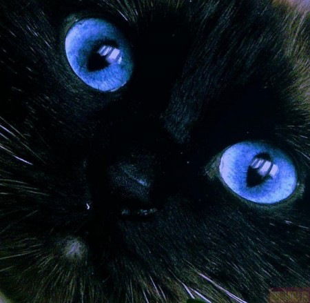 Наталья Еркова