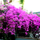 Алия Айтакова