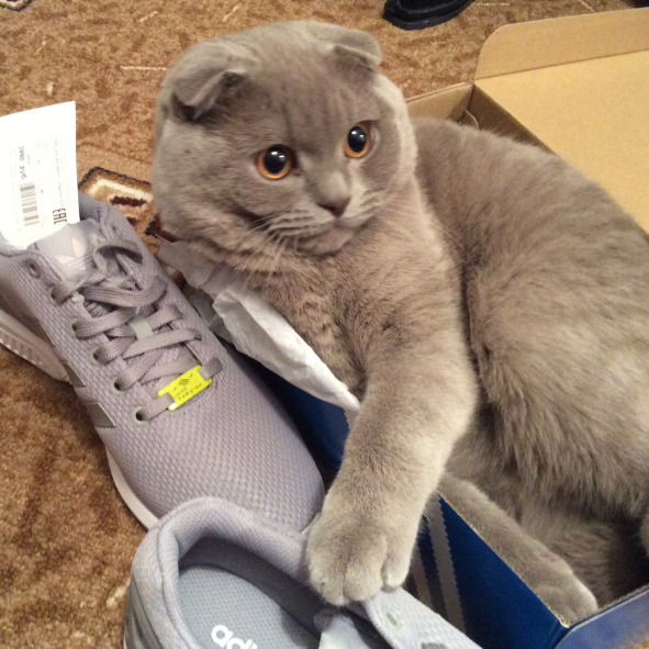 Катерина Гринева