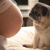 Екатерина Костенко