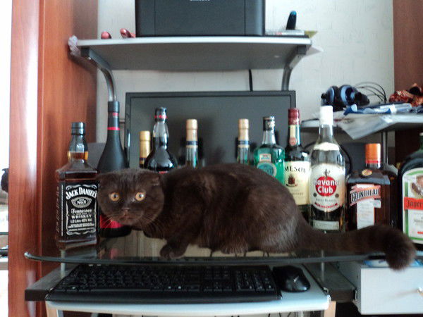 Рустам Салимгареев