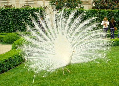 Наташа Югай