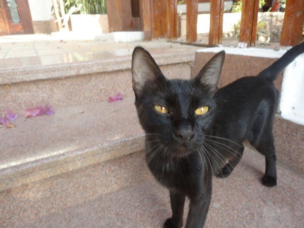 Аня Москалюк