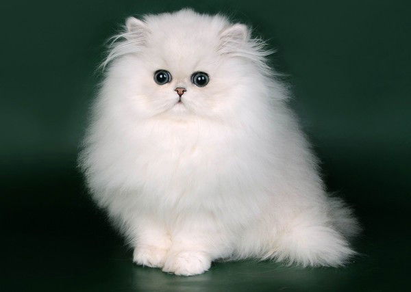 Валентина Валентина