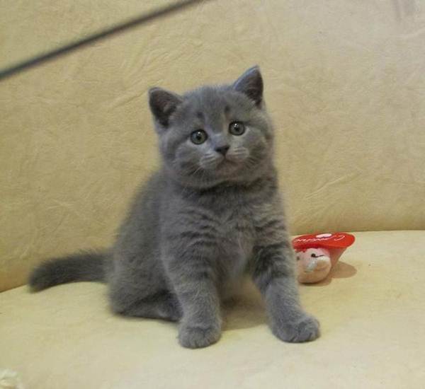 Марина Задорожная