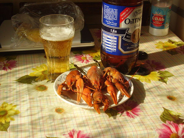 Елена Нефедова