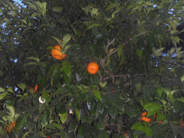 Марина Федосеева