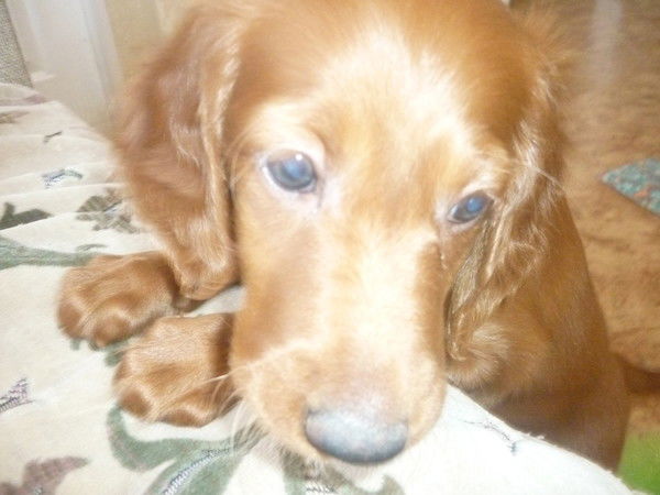 Галина Николаевна