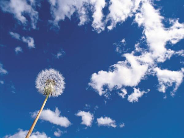 Ирина Гуриненко