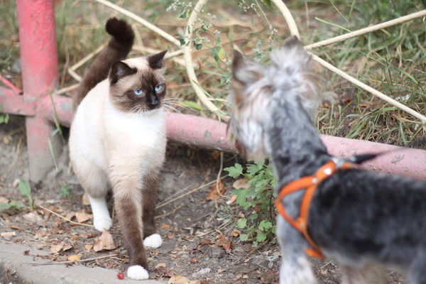 Валентина Соболева