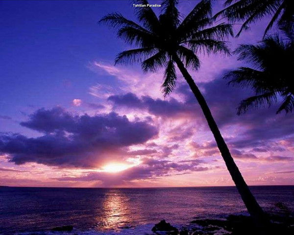 Светлана Гришина