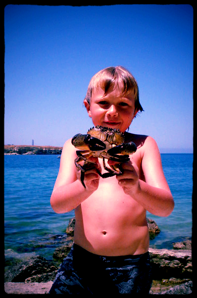 Даниил Ройзенштейн