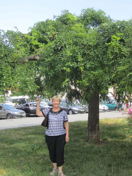 Старкова Людмила