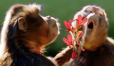 Евгений Миханчук