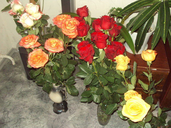 Елена Баданова