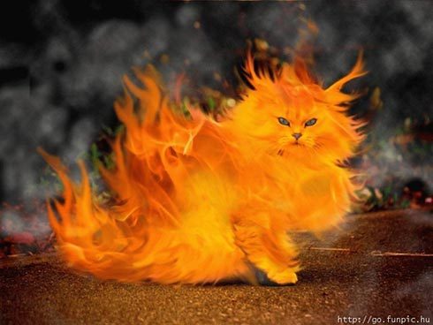 Наталья Мун