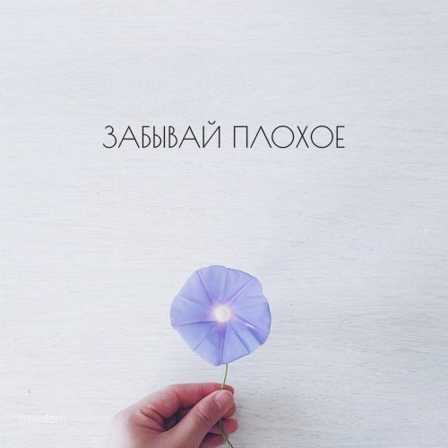 Ксения Вонсович