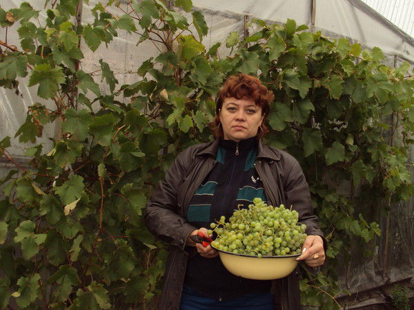 Елена Пушкарева(Силина)