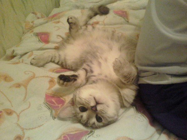 Андрей Савельев