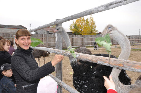 Елена Загорская