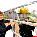 Елена Загорская