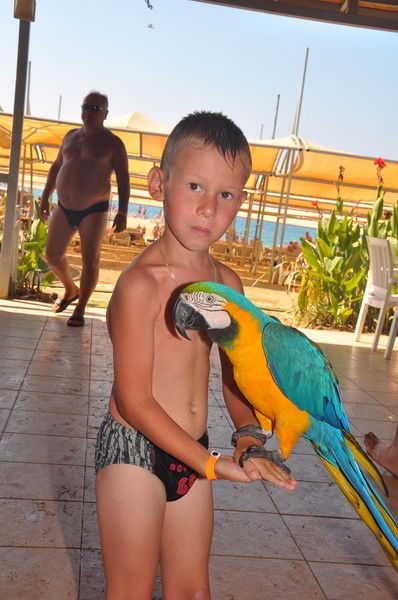 Геннадий Павлов