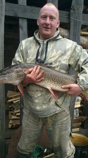 Владимир Никитин