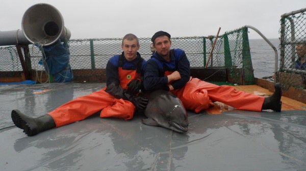 Андрей Кручинин