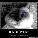 Николай Калинин