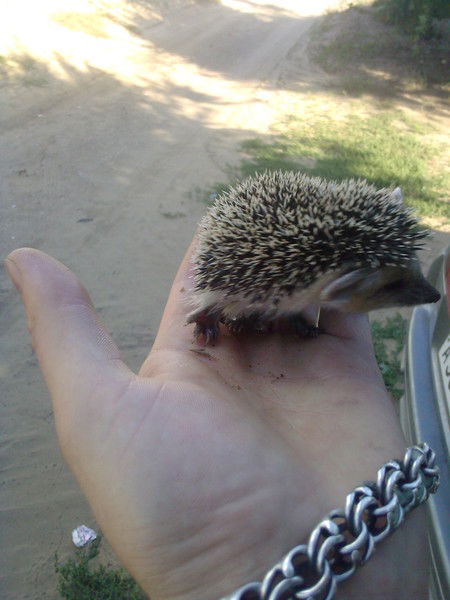 Евгений Трухляев