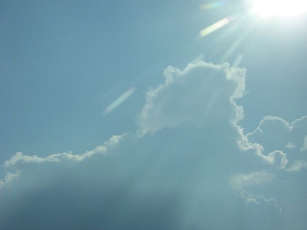 Эльвира Шевчук