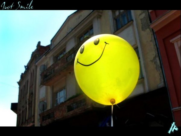 Светлана Грибовская