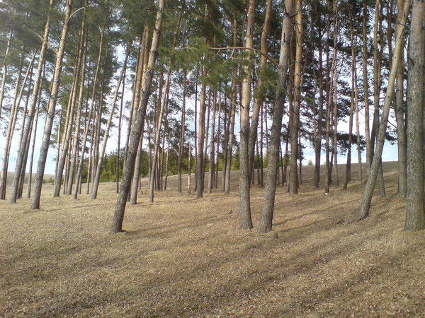 Оксана (Ксюшка)