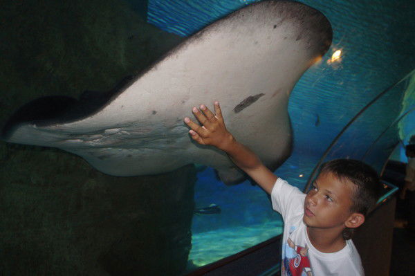 Артем Небальзин