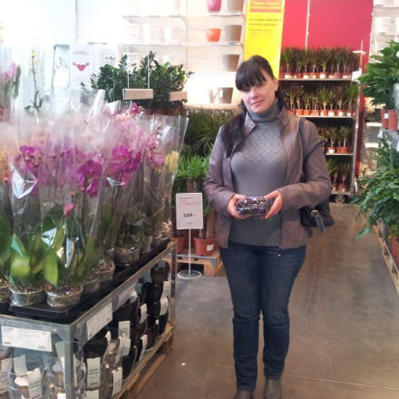 Елена Колесникова