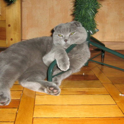 Геля Богачкова