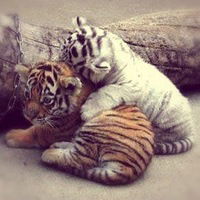 Zhuldyz Tusubzhanova