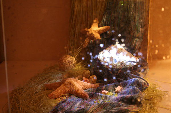 Ирина Власова