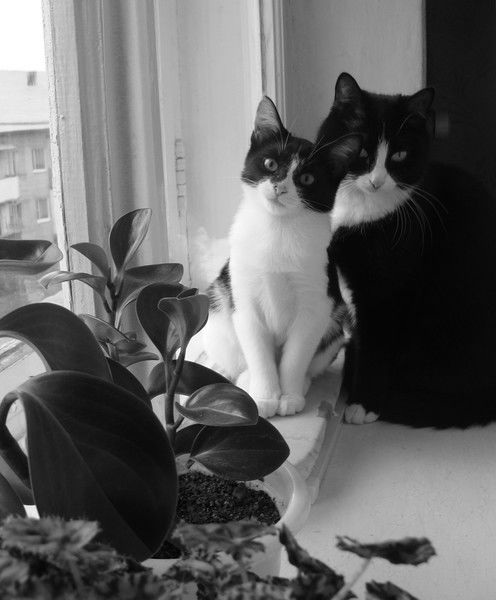 Ирина Павлюченко