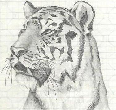 Эрика Гейзер