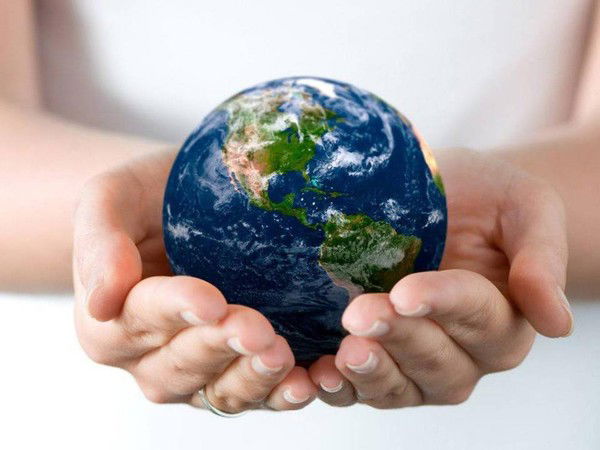 Владимир Пирогов