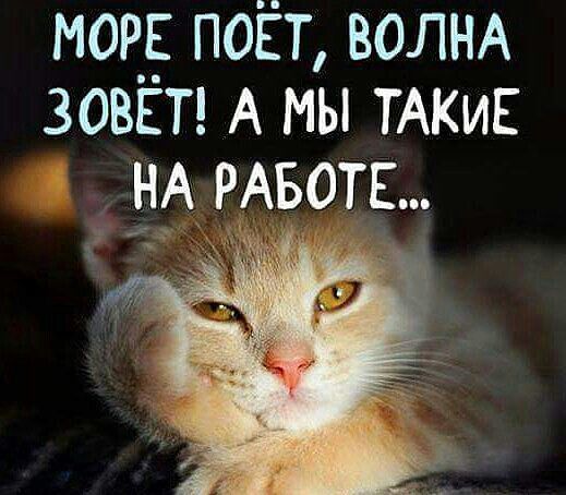 Светлана Кулешова