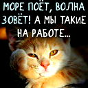 Светлана Кулешова