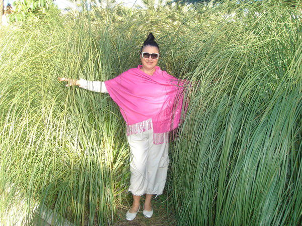 Татьяна Лисовая