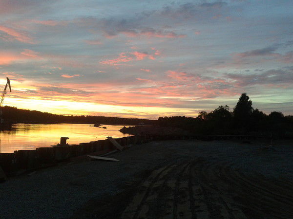 Коля Алферов