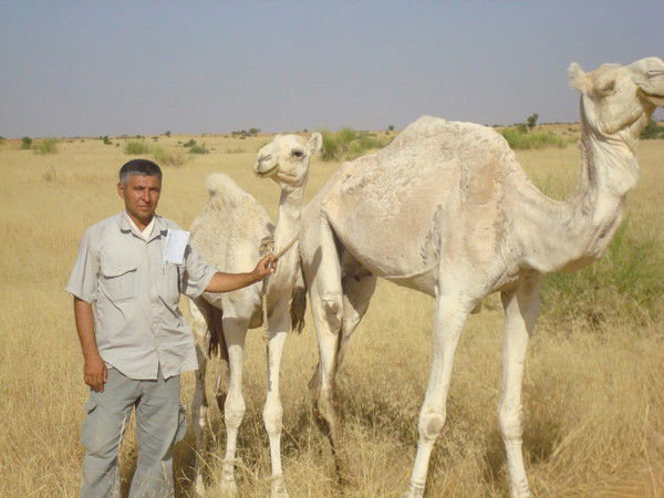 Рустамджон Бабаев