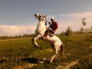 Баянас Мамашов