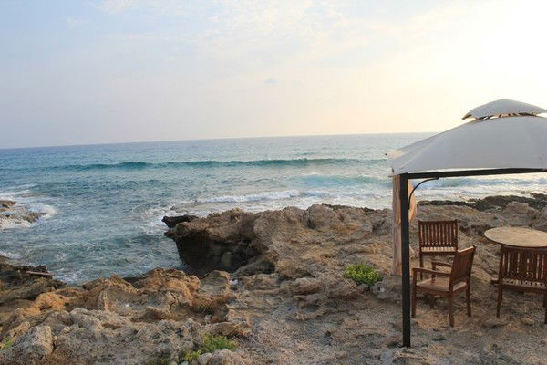 Дарья Зайцева